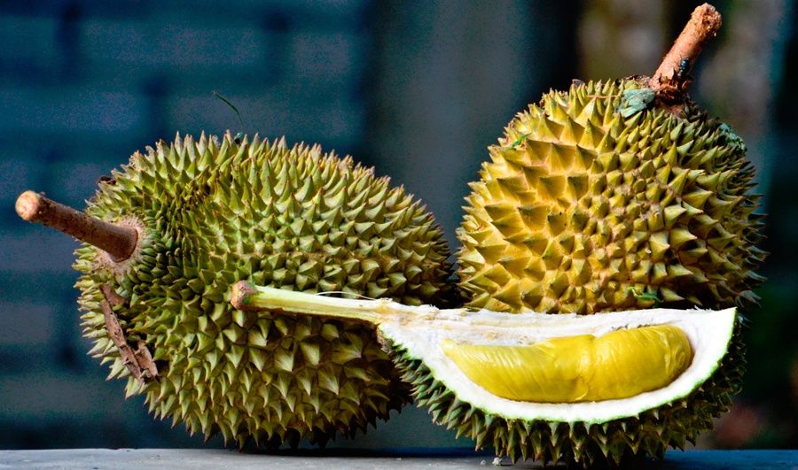 самая вонючая еда в мире. Смотреть фото самая вонючая еда в мире. Смотреть картинку самая вонючая еда в мире. Картинка про самая вонючая еда в мире. Фото самая вонючая еда в мире самая вонючая еда в мире. Смотреть фото самая вонючая еда в мире. Смотреть картинку самая вонючая еда в мире. Картинка про самая вонючая еда в мире. Фото самая вонючая еда в мире