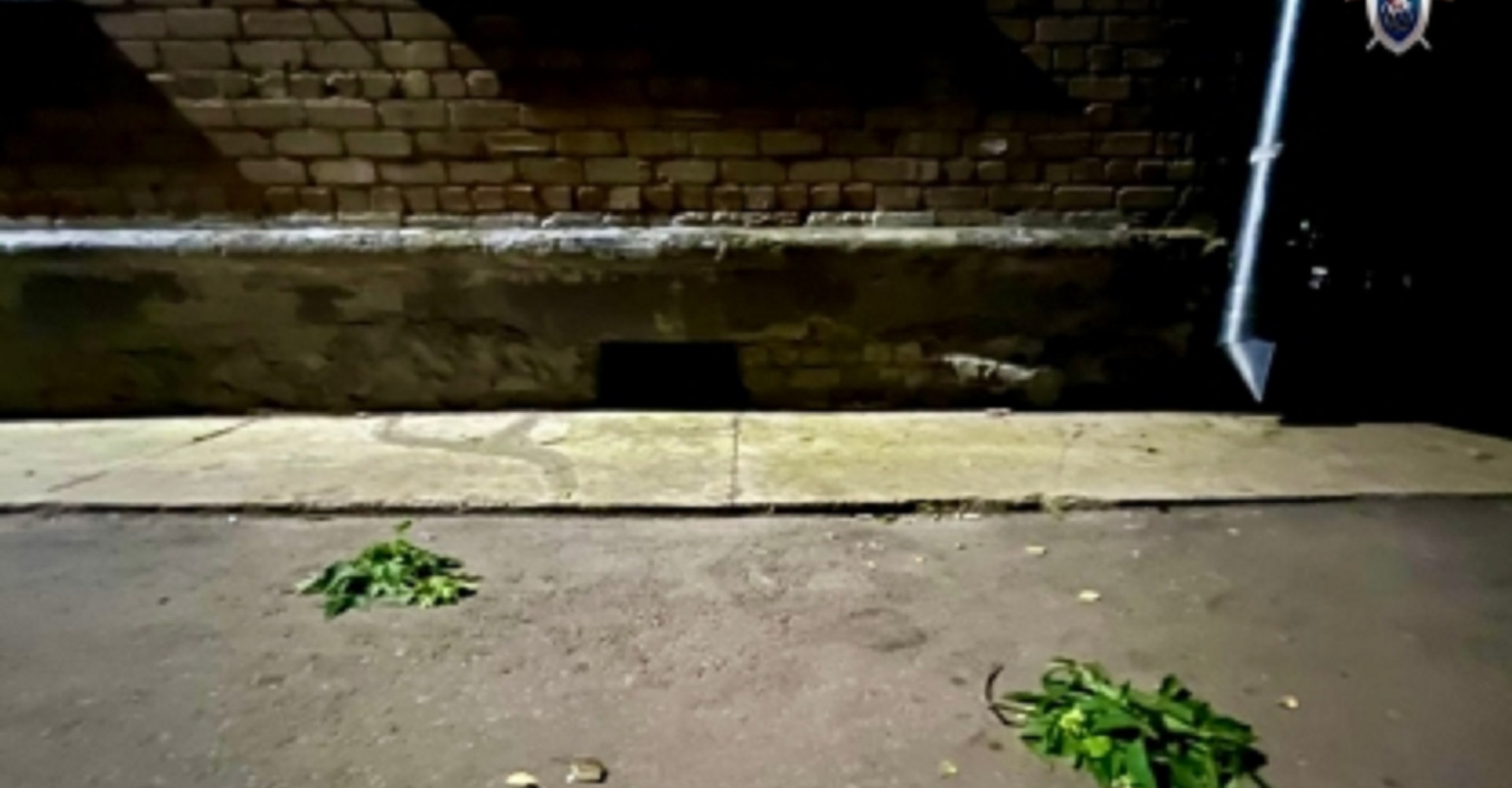 Новость