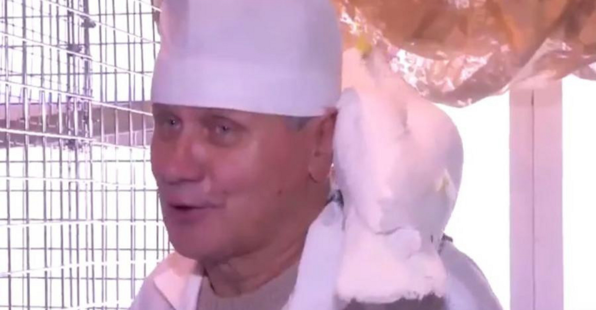 Новость
