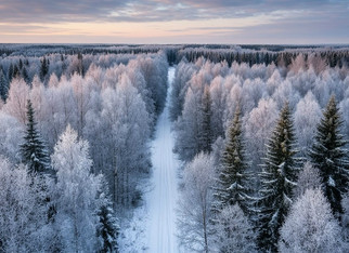 В Кирово-Чепецком районе охотник незаконно убил кабана