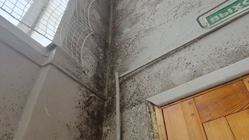 Плесенью в котельничской школе заинтересовались в Следкоме