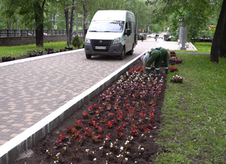 В Первомайском районе в Кирове планируют высадить 17 тысяч цветов