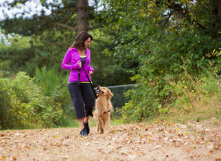 С россиян захотели брать налог за выгул собак