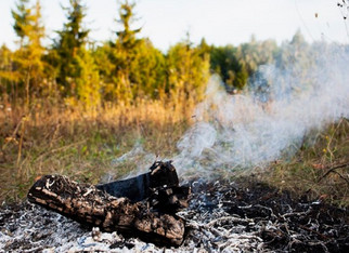 Особый противопожарный режим введён в Кировской области с 25 апреля