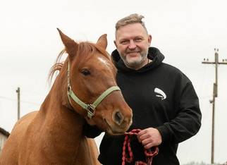 Никита Белых предложил поставить памятник вятской лошади