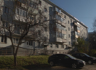 Кировчане в доме на улице Маклина жалуются на лис в квартире
