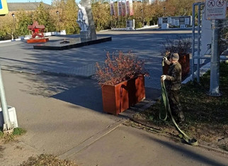 С кировских улиц убирают контейнеры с цветами
