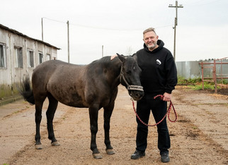 Белых предложил назвать 2026 год — Годом Вятской лошади