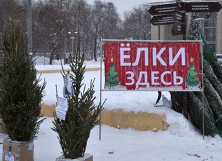 В Кирове 20 декабря откроют елочные базары