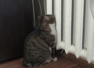 УК рекомендуют работать лучше