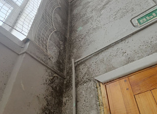 Плесенью в котельничской школе заинтересовались в Следкоме