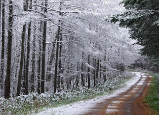 В Верхошижемском районе отменили лыжную гонку из-за отсутствия снега
