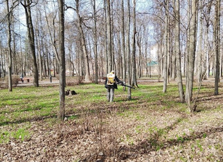 В Кирове проводится обработка парков от клещей