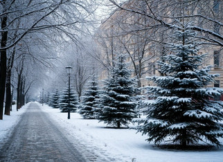 Арктический холод приближается к Кировской области