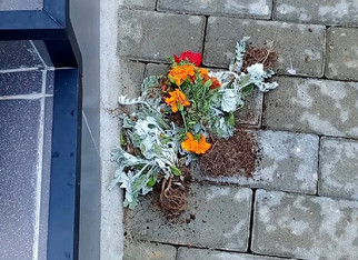 В Сырде уничтожили клумбу на мемориале ВОВ