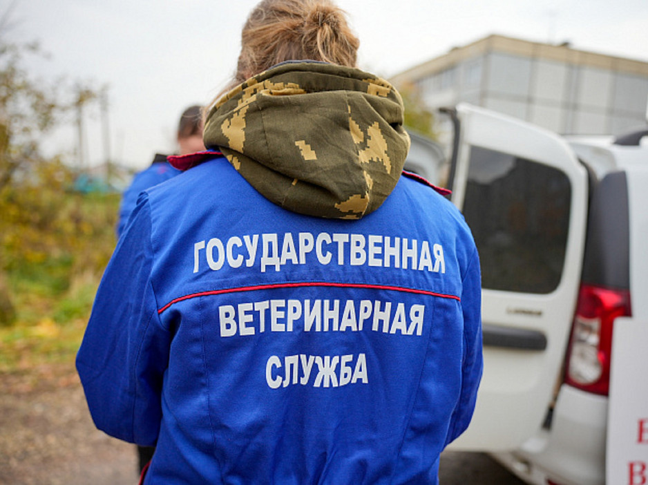 В Кировской области ветеринарам будут компенсировать наем жилья