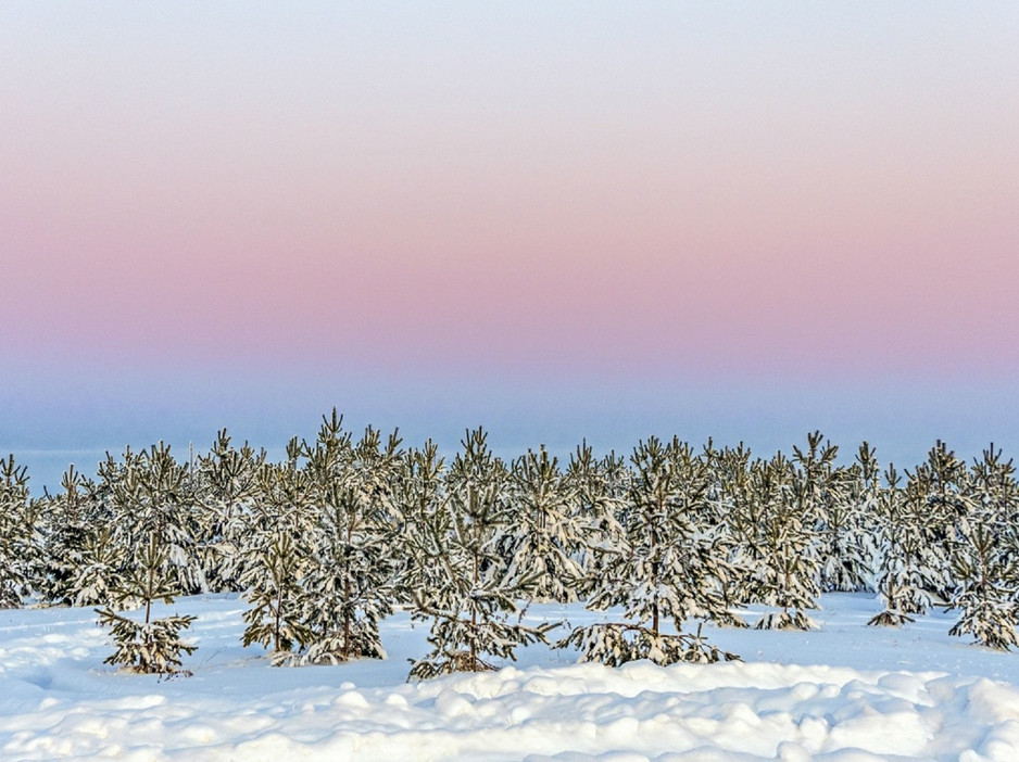 В Кировской области к концу недели ожидается оттепель