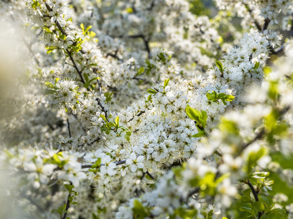 Май ожидается теплым