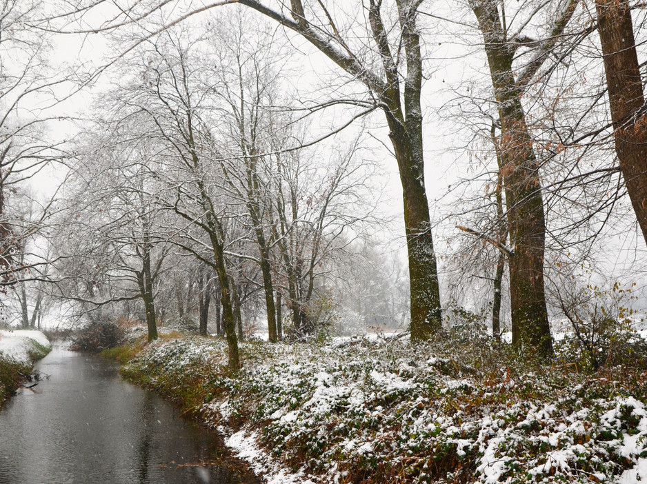 В Кировской области в субботу ожидается снегопад