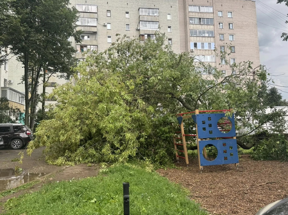 Ликвидация последствий урагана