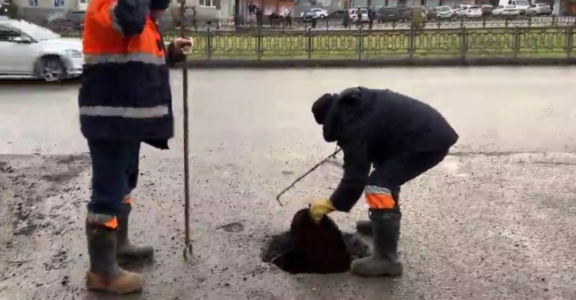 Новость