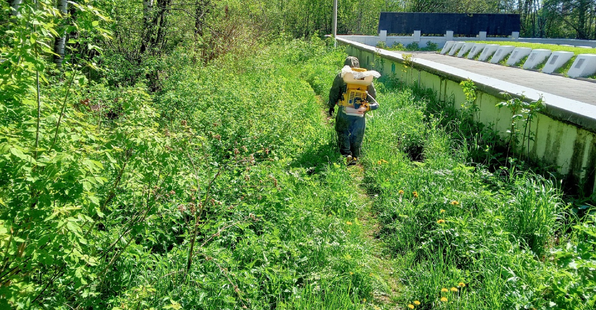 Новость