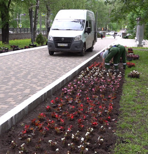 В Первомайском районе в Кирове планируют высадить 17 тысяч цветов