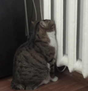 УК рекомендуют работать лучше