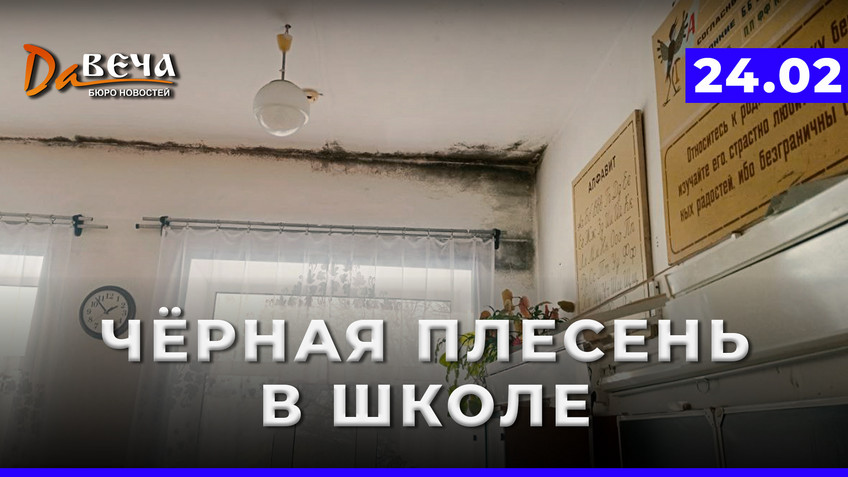 Видео новость