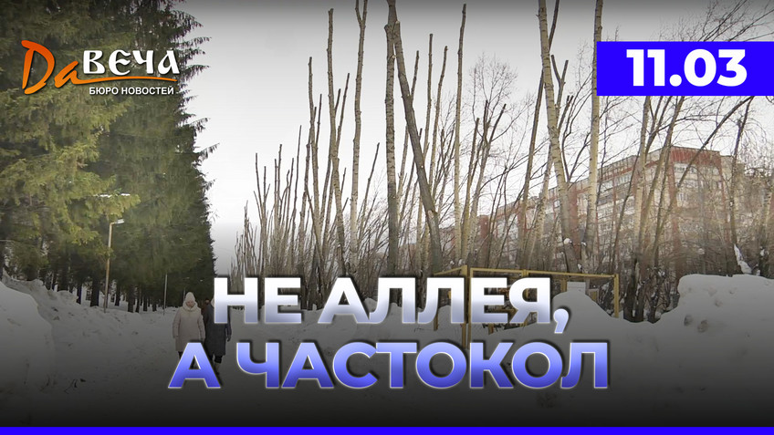 Видео новость