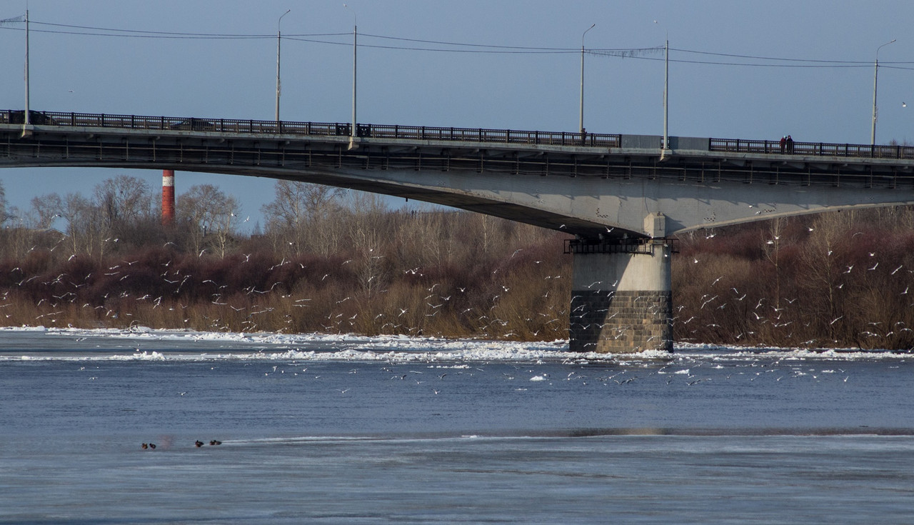 Уровень воды в Вятке. Уровень реки Вятка на сегодня в Кирове. Уровень воды в Вятке сегодня в Аркуле. Уровень воды в Вятке на сегодня в Кирове.