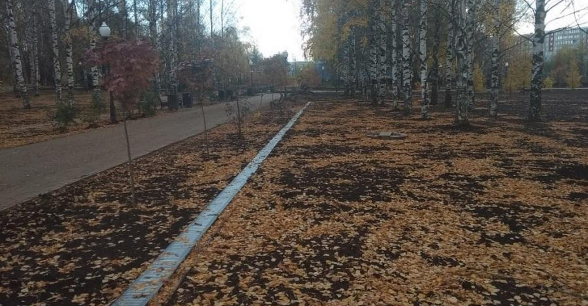 Новость