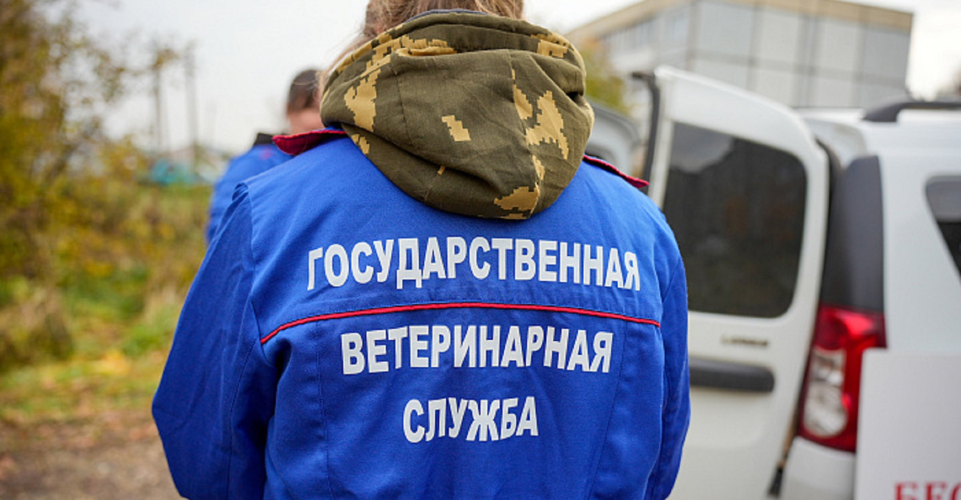 Новость