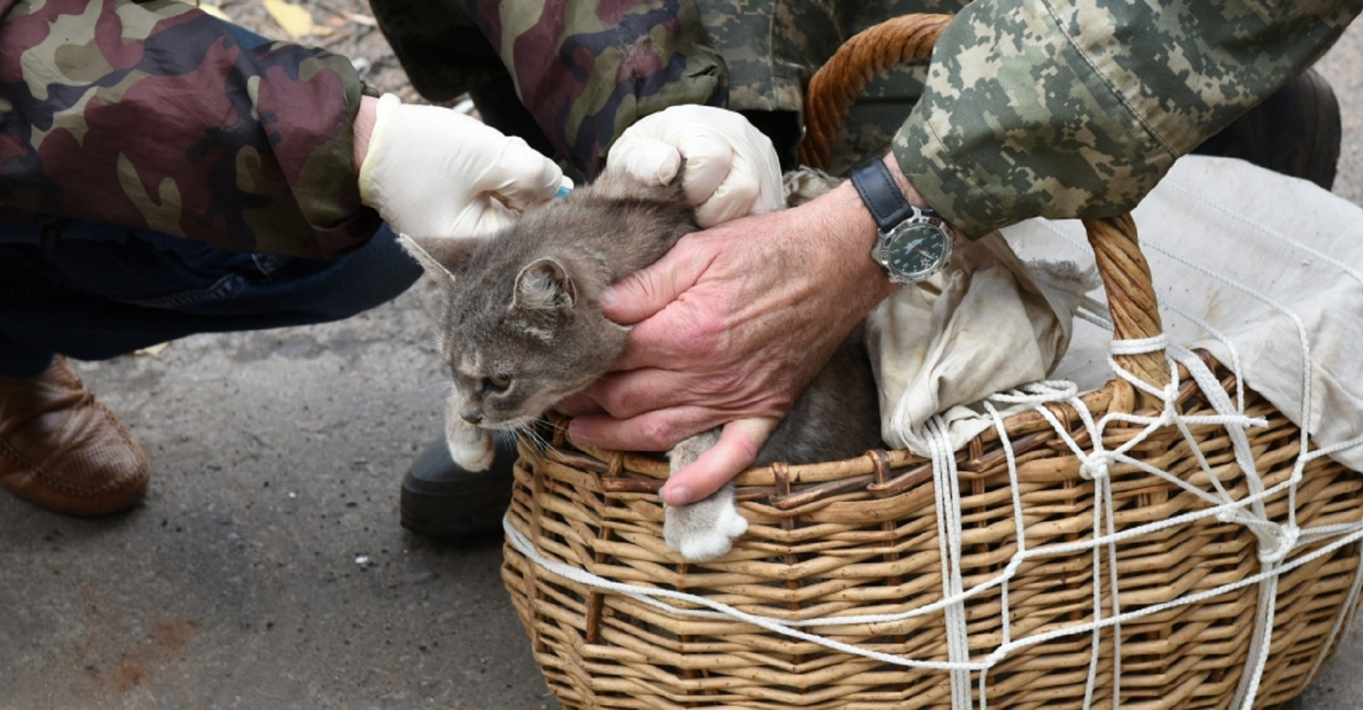 Новость