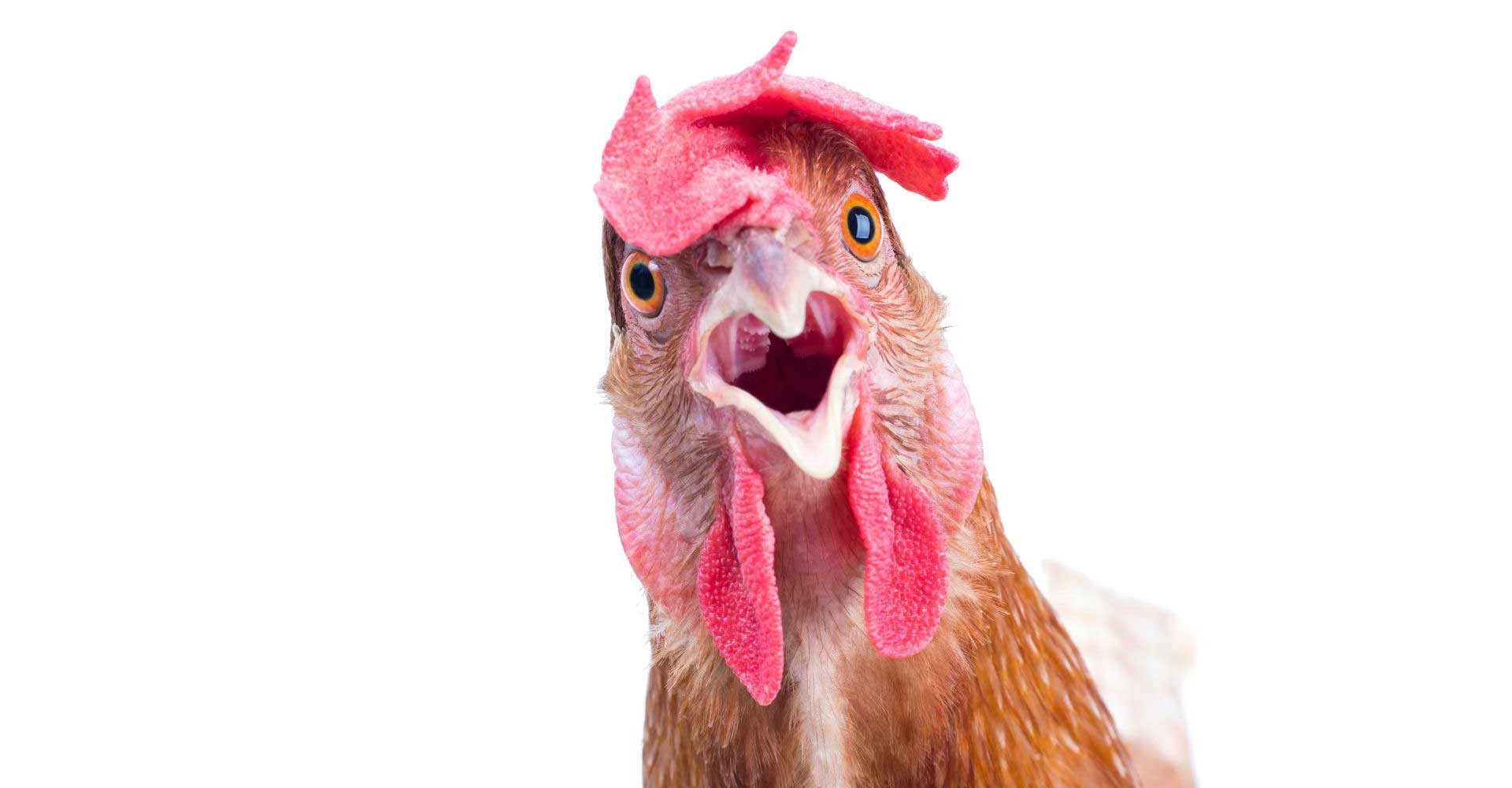 Новость