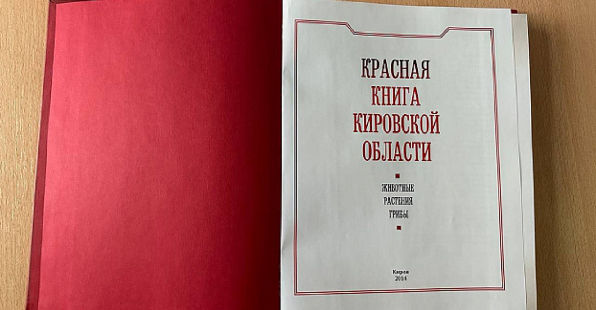 Новость