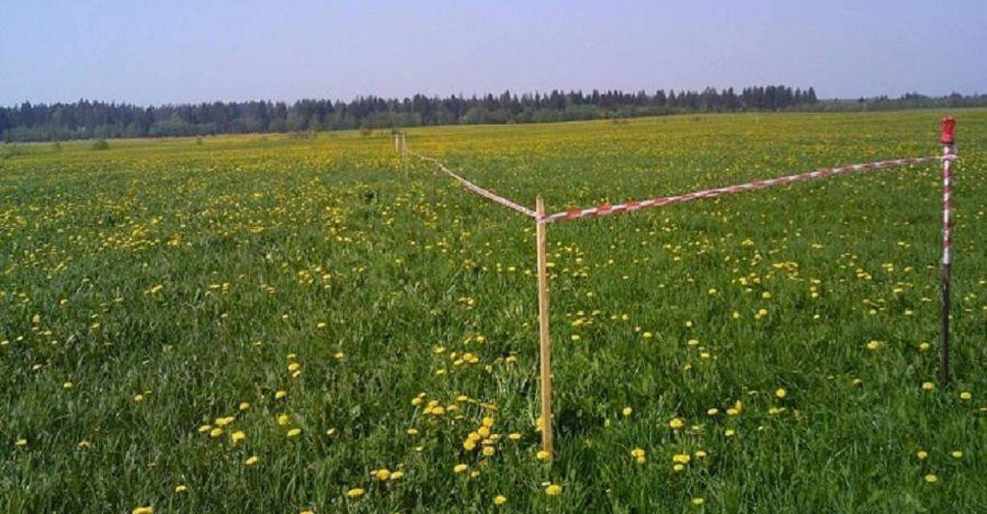 Новость