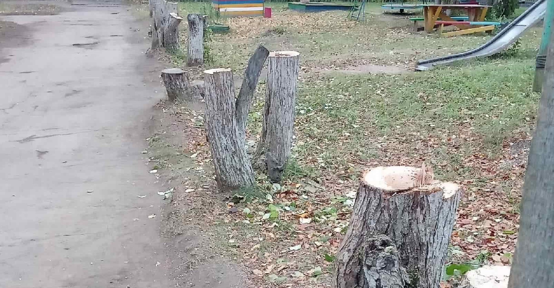 Новость