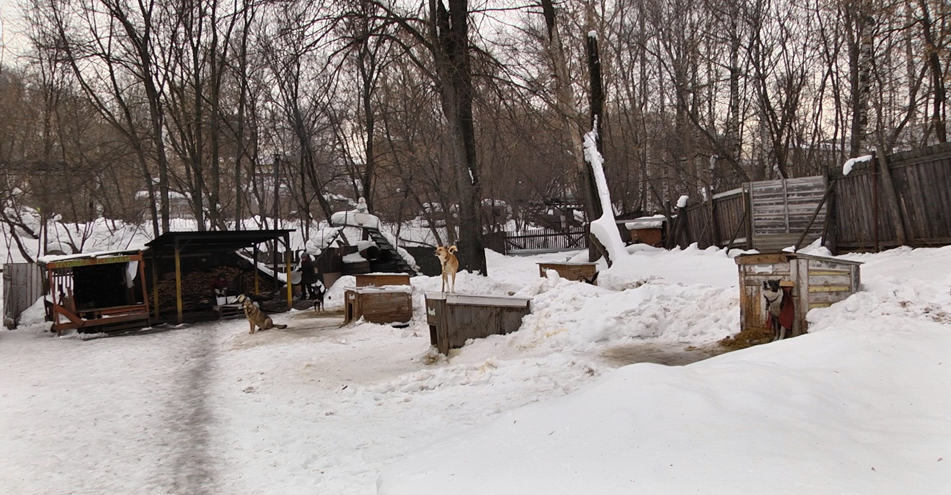Новость