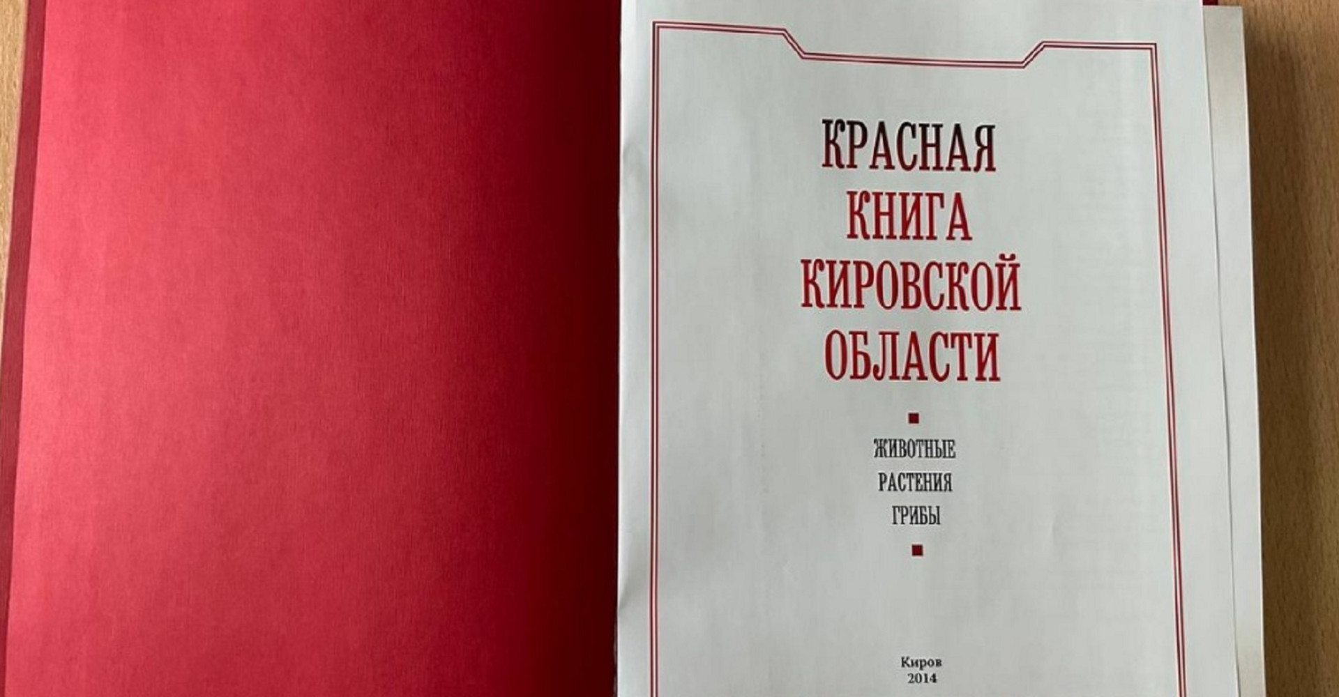 Новость