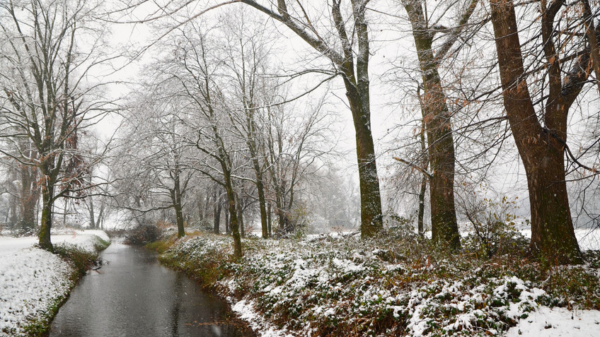 В Кировской области в субботу ожидается снегопад