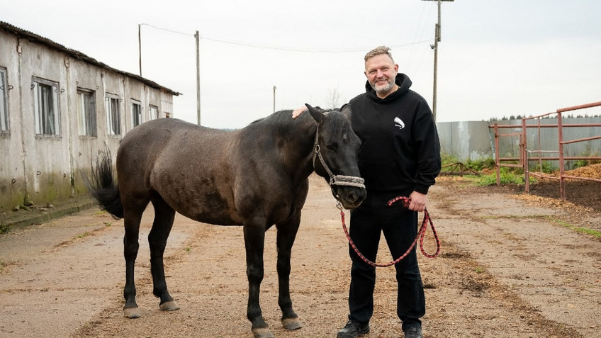 Белых предложил назвать 2026 год — Годом Вятской лошади
