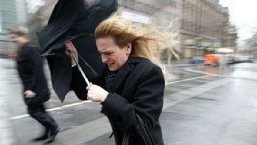 МЧС предупреждеает о сильном ветре в Кировской области