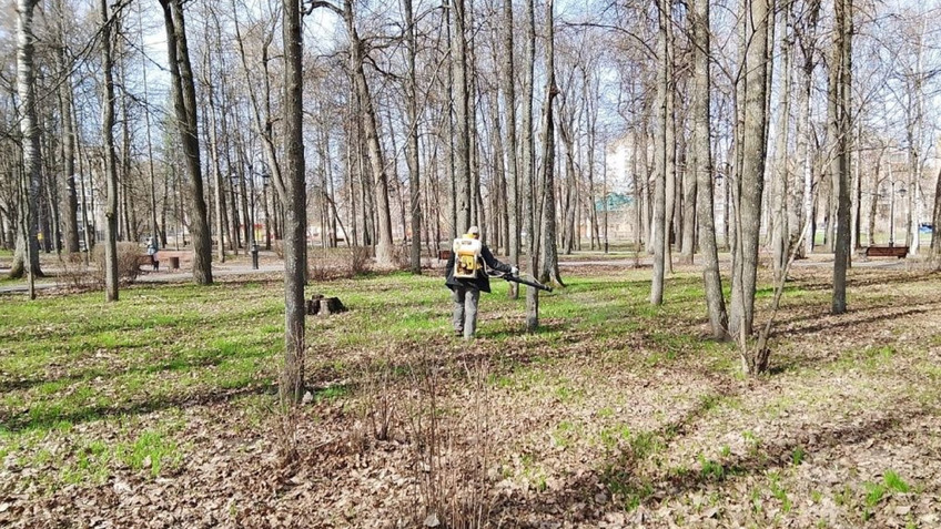 В Кирове проводится обработка парков от клещей