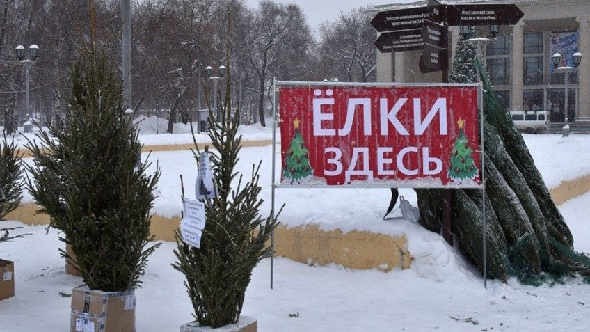 В Кирове 20 декабря откроют елочные базары