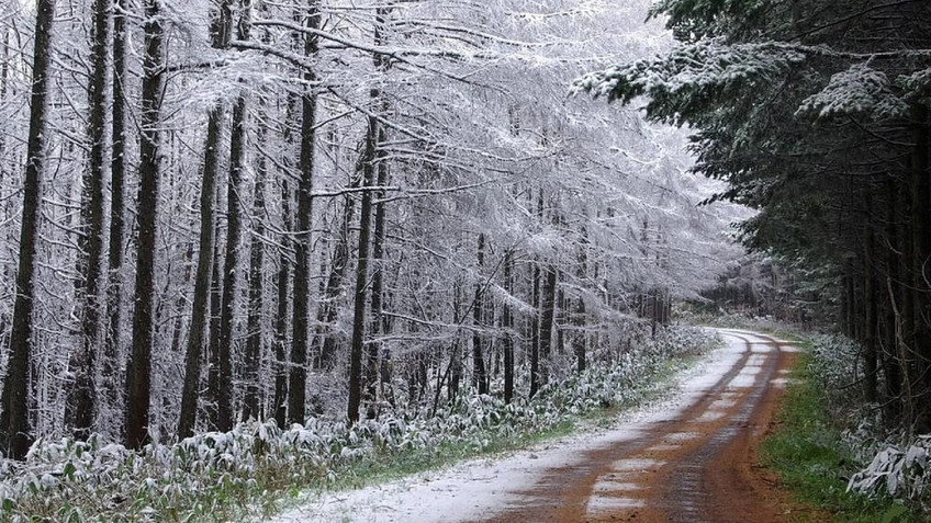В Верхошижемском районе отменили лыжную гонку из-за отсутствия снега