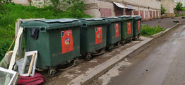 Тренды