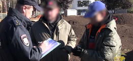 Тренды