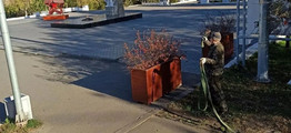 Тренды