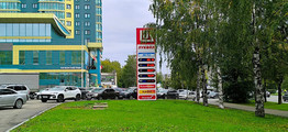 Тренды